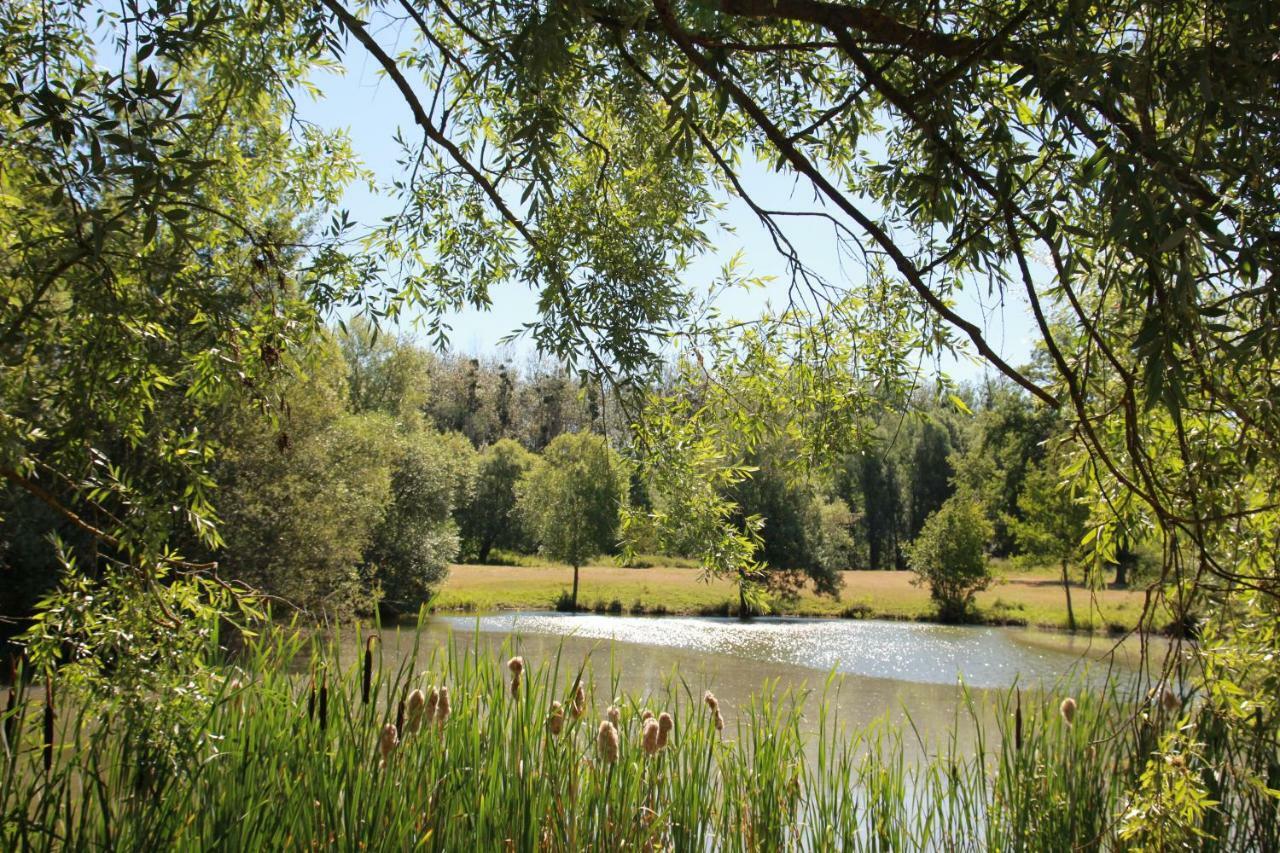 La Bergerie Du Domaine Des Buissonnets Villa Ecardenville-sur-Eure ภายนอก รูปภาพ